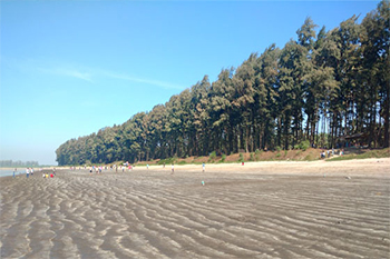 kelva beach